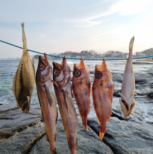 참돔과 반건조생선의 만남, 속초사이버장터에서