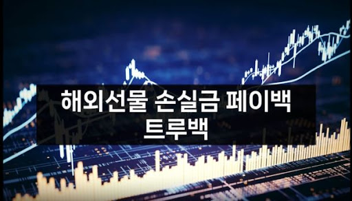 해외선물미니업체 트루백, 안전한 투자의 시작